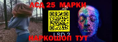 гидропоника Заводоуковск