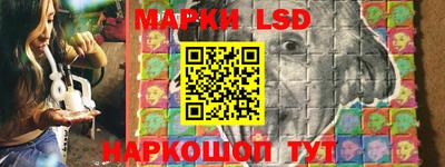 гидропоника Заводоуковск