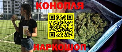 гидропоника Заводоуковск