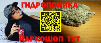 эйфоретик Заволжье