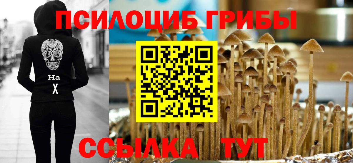 Галлюциногенные грибы ЛСД Лесосибирск
