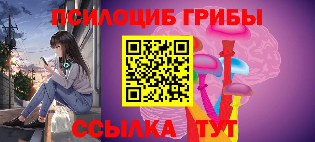 Лесосибирск  Галлюциногенные грибы мицелий  Вход с VPN 